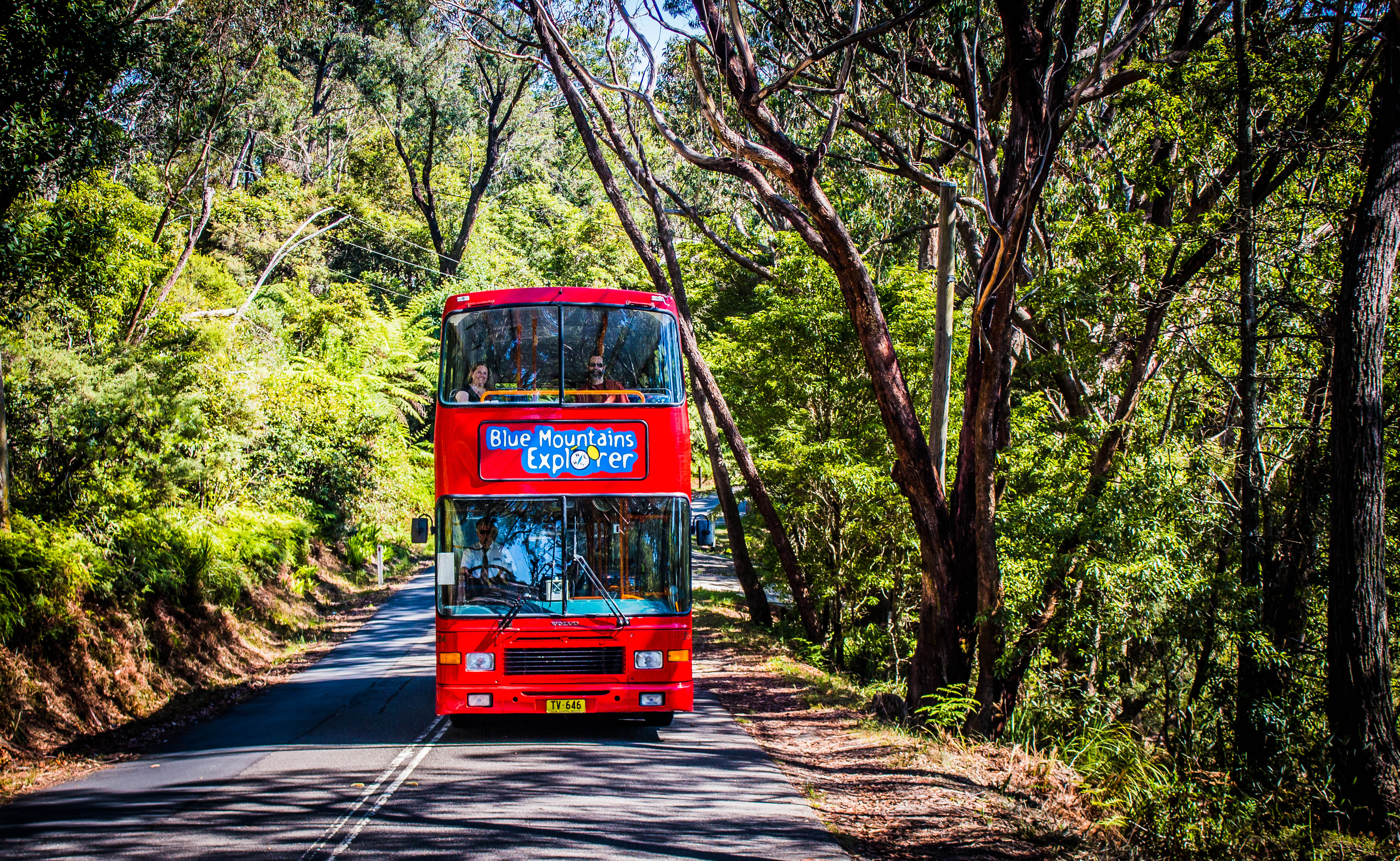 Lyrebird Pass: Blue Mountains Hop-On, Hop-Off Bus Tour and Scenic World Rides Pass