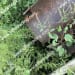 6ea. Used 54"x0.625" Pipe at 30' to 49' Lengths-4