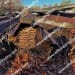 51 Pair of Surplus/New PLZ-25 Sheet Pile at 32'6"-1