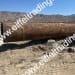 9ea. 42"x0.500" Pipe at 30' to 40' Lengths-3