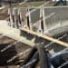 9,600LF of 20' NYSDOT JJ-Hook Barrier Wall-7