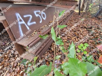 10 Pair of AZ-50 Sheet Pile at 28' & 50' Lengths-2