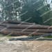 695LF of 24"x0.750" Pipe at 20' to 55' Lengths-2