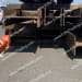 4ea. W24x117 Beams at 20' to 32' Lengths-2