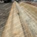 57 Pair of Used PZC-18 Sheet Pile at 25' to 40.5'-6