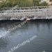 160LF of Temporary Acrow Bridge-4