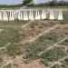 660LF of Used 42" Single Slope Barrier Wall-4