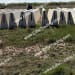 660LF of Used 42" Single Slope Barrier Wall-2