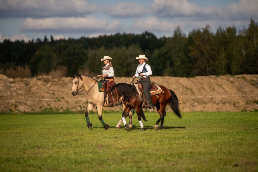 w stylu western