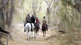 Legends Auto Ranch >> Horseback Riding | Visit Arizona Legends Auto Ranch >> Horseback Riding | Visit Arizona