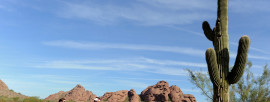 Offbeat Phoenix