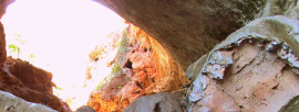 History and Nature