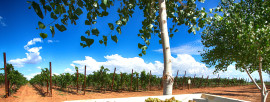 20 things you didn’t know about Arizona