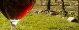 Arizona Wine Tours