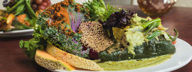 Mexican Food & More in Tucson