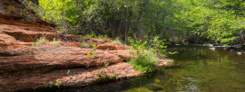 5 Secret Arizona Swimming Holes Worth the Hike