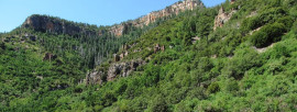 Tour the Terrain: Off-roading in Arizona