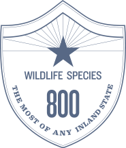 Wildlife Badge