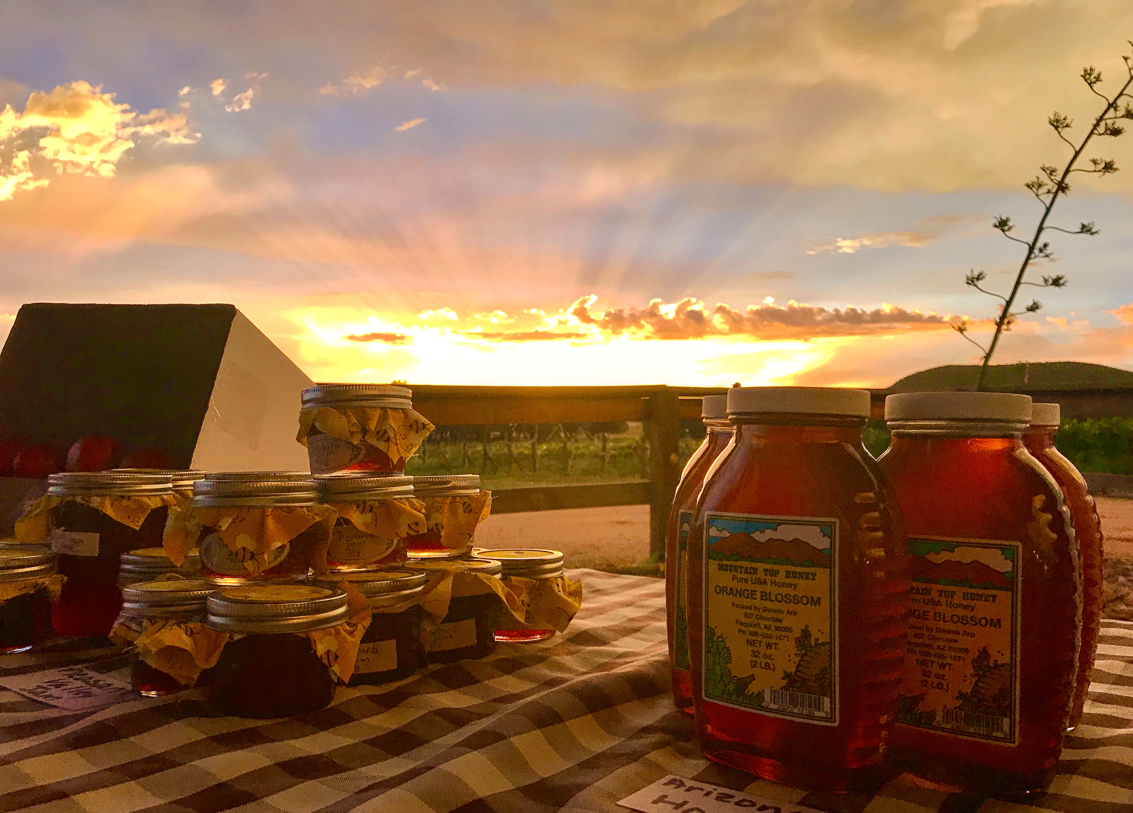 Bruzzi Vineyard Visit Arizona