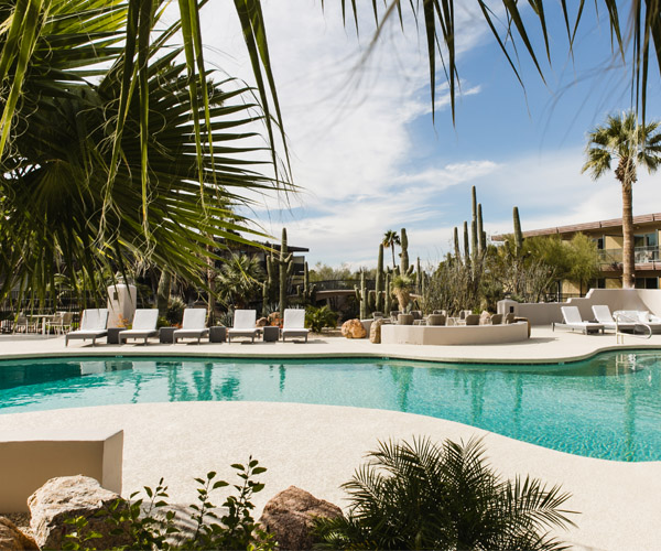 A blue-green pool surrounded by palm trees and deck chairs waits for guests