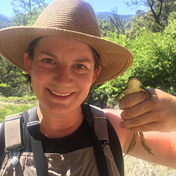 AZGFD Biologist Audrey Owens Reptiles Amphibians