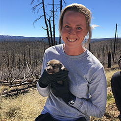 AZGFD Biologist Genevieve Fuller Mexican Wolves