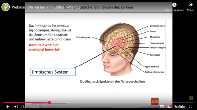 Webinar "Wie wir lernen" - Stifter-helfen.de
