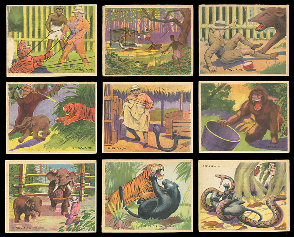 1938 R55 Gumakers of America Frank Buck Bring 'Em Back Alive Cards (45) with Near-Complete Set (43/48) & Duplicates (2)