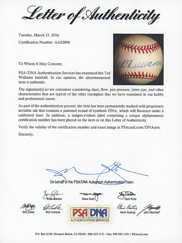 Ted Williams Single-Signed Baseball Pair - Each with Individual PSA/DNA Full LOA