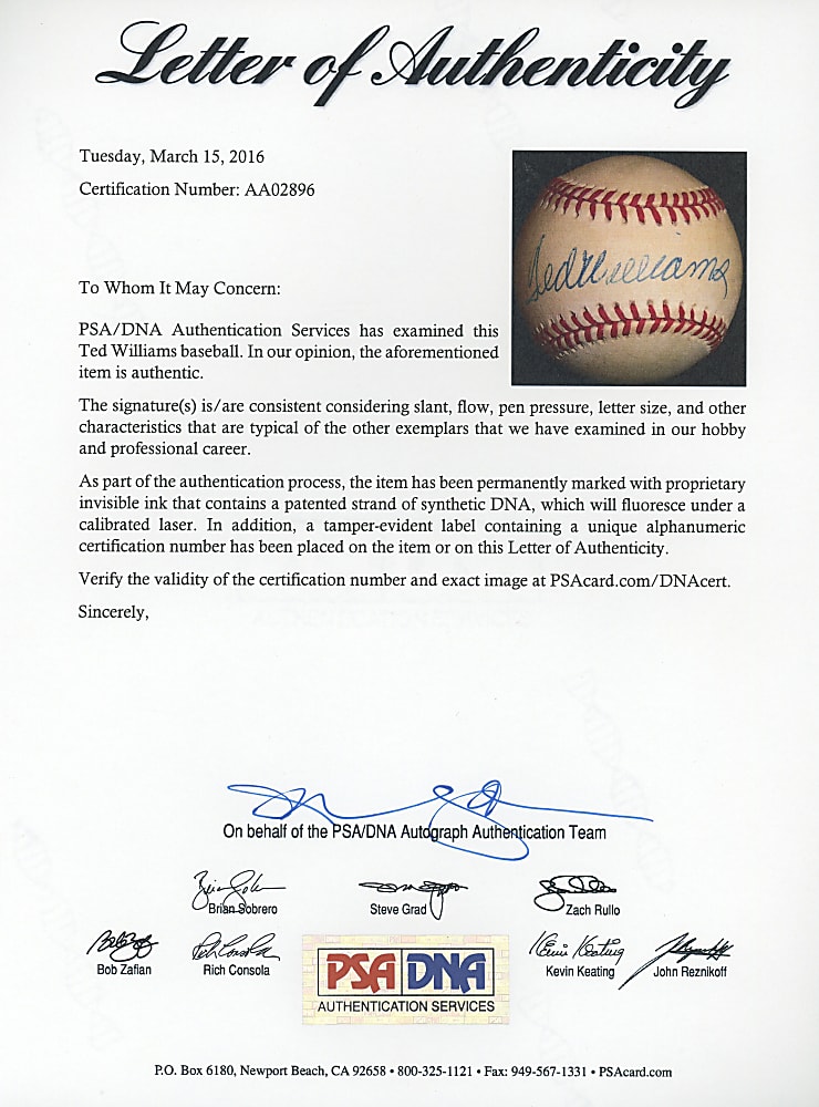 Ted Williams Single-Signed Baseball Pair - Each with Individual PSA/DNA Full LOA