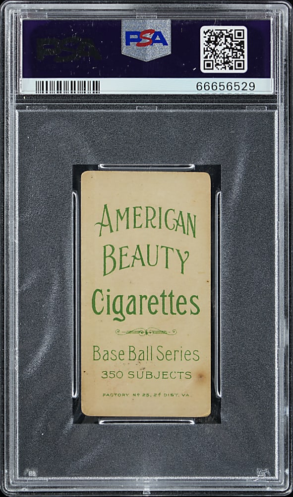 1909-1911 T206 White Border Kid Elberfeld Wash. Fielding American Beauty No Frame PSA GOOD 2 (mk)