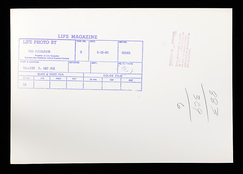 1960 Roger Maris Tracking Fly Ball Original Ted Polumbaum LIFE Magazine Type I 9 1/4 x13 3/8 Photograph - PSA/DNA LOA