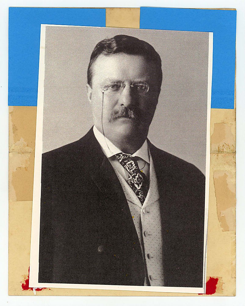 1907 Theodore Roosevelt Typed Letter Signed on White House Stationary
