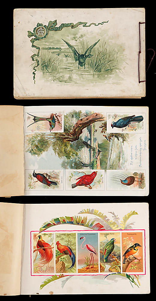 1889-1890 Allen & Ginter "Bird" Albums Trio (3)