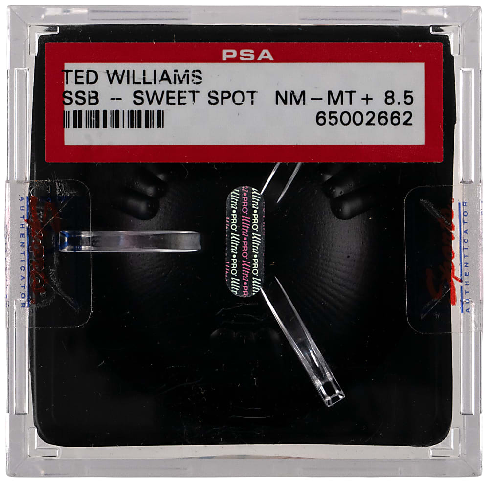 Ted Williams Single-Signed Baseball PSA/DNA Overall 8.5