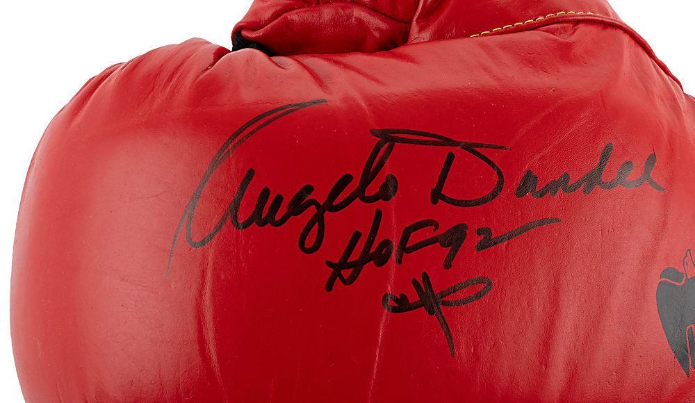 Muhammad Ali & Angelo Dundee Signed Boxing Glove Pair