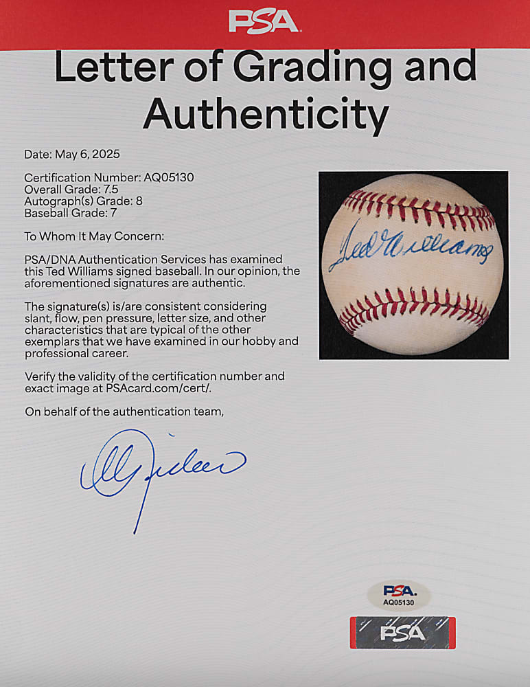 Joe DiMaggio & Ted Williams Single-Signed OAL/Brown Baseball Pair - Both PSA/DNA 7-7.5
