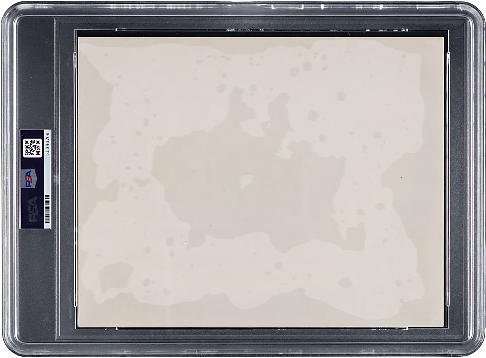 1959 Chicago White Sox American League Champions Team-Signed Photograph with (28) Signatures - PSA/DNA Authentic