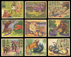 1938 R55 Gumakers of America Frank Buck Bring 'Em Back Alive Cards (45) with Near-Complete Set (43/48) & Duplicates (2)