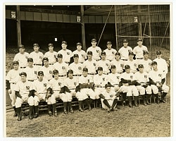 1942 American League Champions New York Yankees William C. Greene Vintage Team Photograph