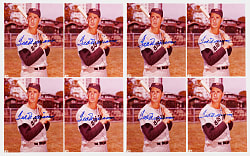 Ted Williams Signed 8x10 Photographs (8)