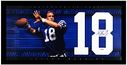 Peyton Manning Signed Indianapolis Colts Jersey Number 18 Framed Display - UDA COA