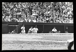 1960 Roger Maris and Manager Casey Stengel Original Ted Polumbaum LIFE Magazine Type I 9 1/8 x 13 1/4 Photograph - PSA/DNA LOA
