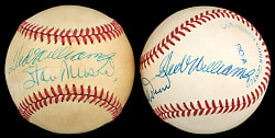 Ted Williams Dual Signed Baseball Pair with Stan Musial & Bobby Doerr