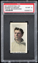 1910-1911 M116 Sporting Life Mordecai Brown Pastel Background PSA EX-MT 6