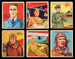 1933-1934 R136 National Chicle Sky Birds Series of 48 Complete Set (48)