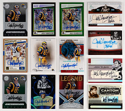 Jack Youngblood Panini Product Certified Autograph Collection (57) with (7) #1/1