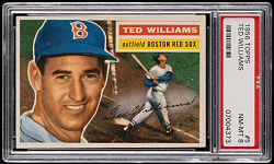 1956 Topps #5 Ted Williams White Back PSA NM-MT 8