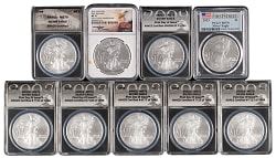 2008-2023 U.S. $1 Eagle Silver Bullion Coins (9) - All ANACS/PCGS/NGC MS70