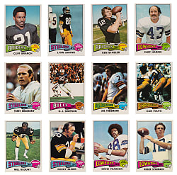 1975 Topps Football Complete Set (528)